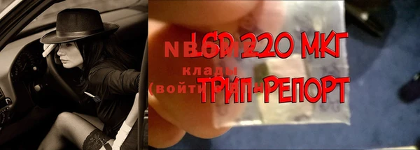 марки lsd Инта