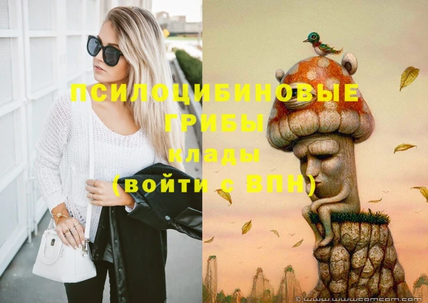 jwh Инсар